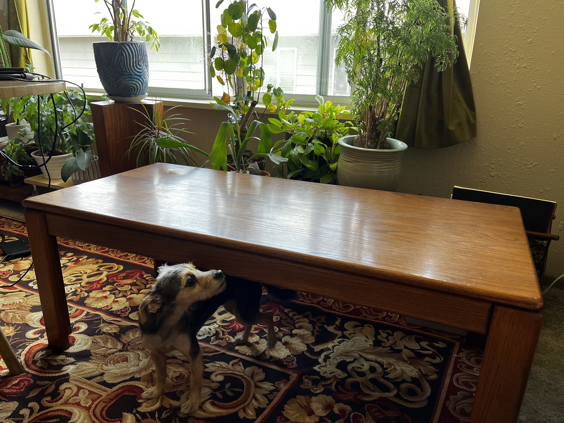 Beautiful Mid Century Coffee Table
