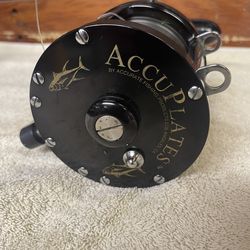 Penn Senator / Accurate