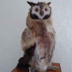  Aux Nations France Plush Owl Approximate 19 In Tall. Around The 1980s Era. Could Be Earlier. Very Rare Hard To Find. All Sales Final.