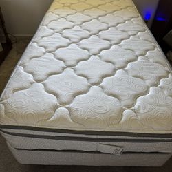 Twin Mattress, Box Springs, And Frame