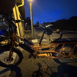 Rad Power Radwagon 4