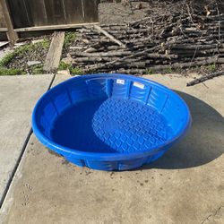Blue Kitty Pool 