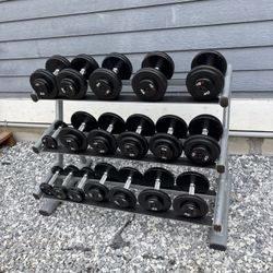 Dumbbells And Rack 