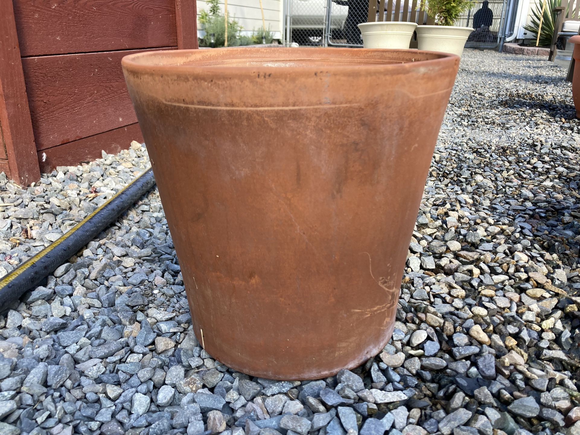 Variety Of Flower Pots