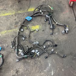 honda and acura harness eg ek dc ef 