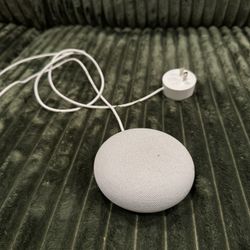 Google Nest Mini 