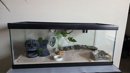 Glass Reptile Terrarium with Lid and Decor