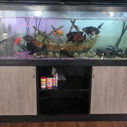 Fish tank
