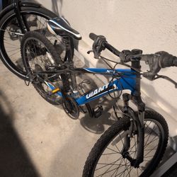 XTC Giant Trail Bike 24"