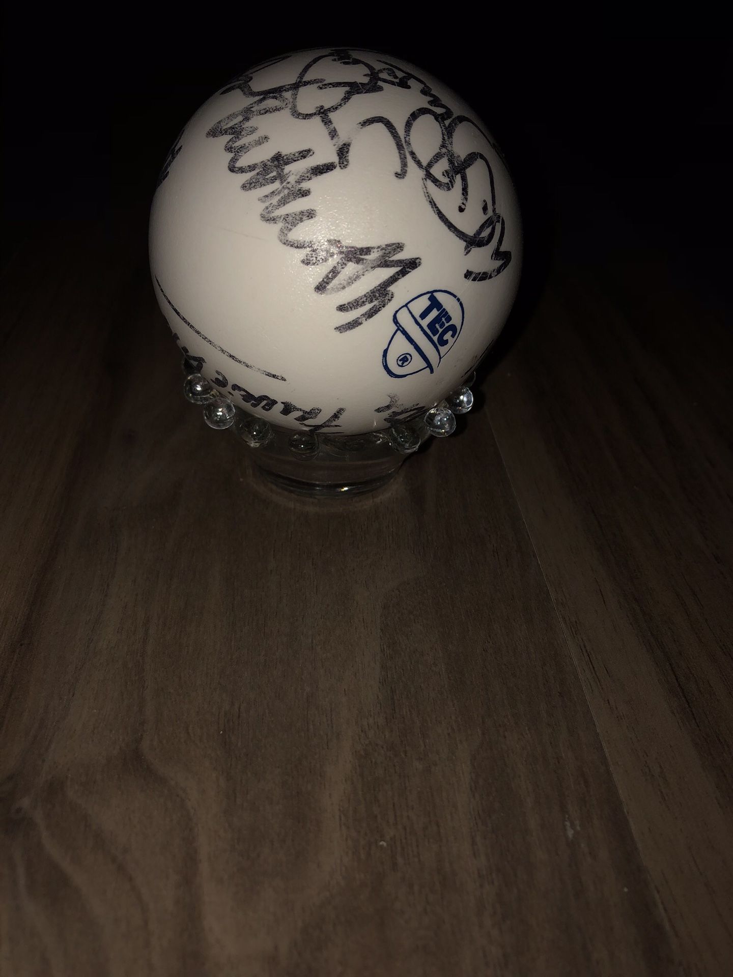 COLLECTIBLE “SIGNED POLO PLAYER BALL WITH GLASS STAND”