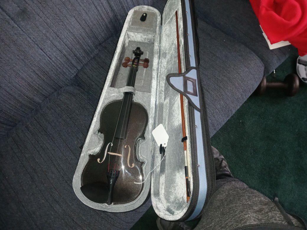 Used Violin ( With Case And Extra Strings)