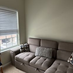 Raymour And Flanagan Couch / Sleeper