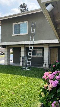Two ladders by Werner