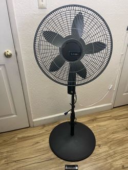 Fan