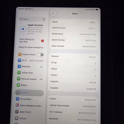 ipad mini a17 pro Wifi/5g 256
