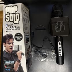Karaoke Microphone