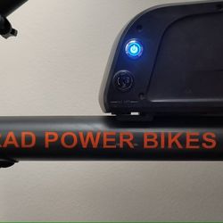 2017 RadCity E-Bike by Rad Power Bikes