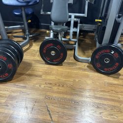 $1 Weight Plates (Ethos) Bumper