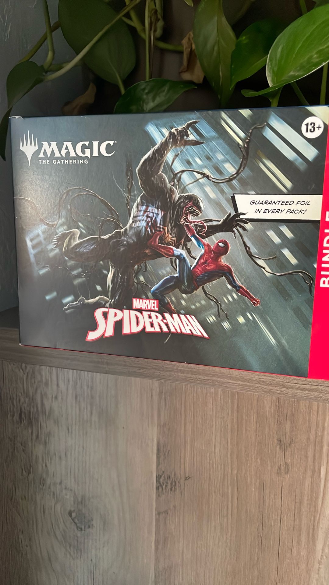 Magic: The Gathering