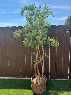 Beautiful Potted Faux Tree in Wicker Basket