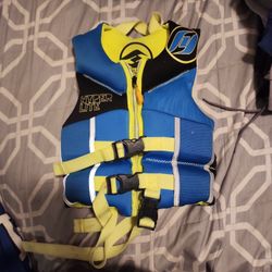 Life Vest