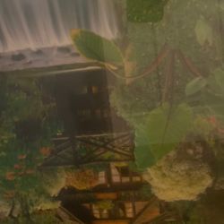 Moving Waterfall Picture