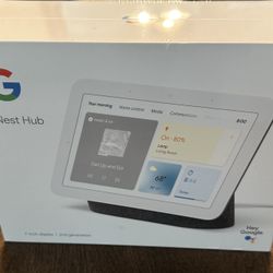 Google Nest Hub (2nd Gen)