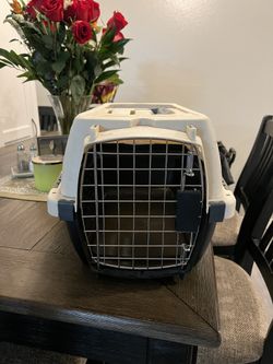 Pet Carrier 