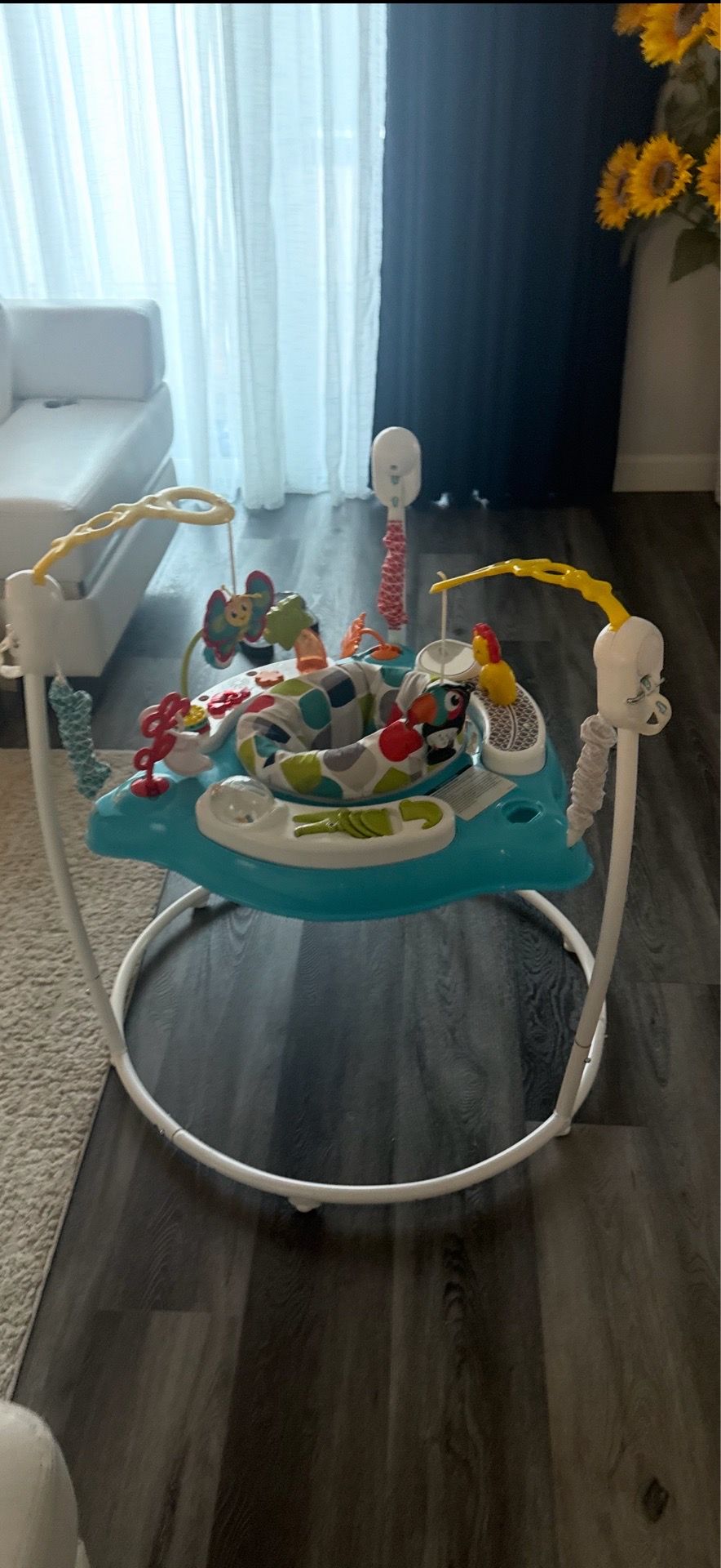 Fisher-Price, baby bouncer