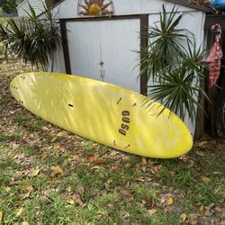 Paddle Board 