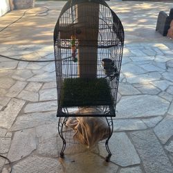 Bird Cage