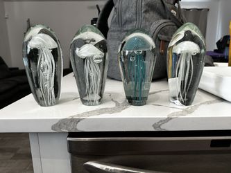 Glass Jelly Fish
