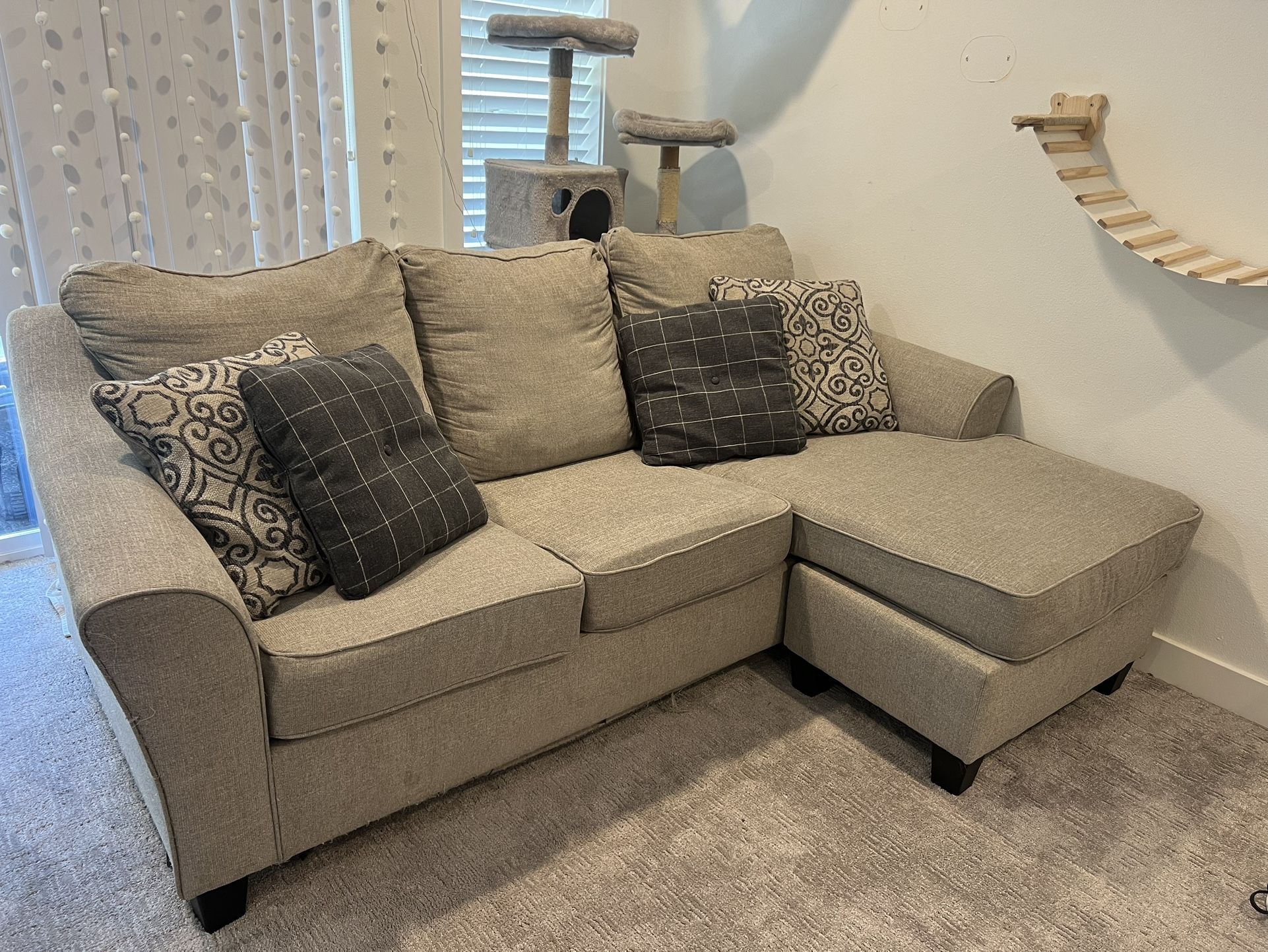 Cute Grey Sofa