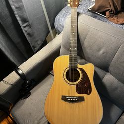 Ibanez Performance Acoustic Electric Guitar