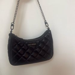 Steve Madden Bag