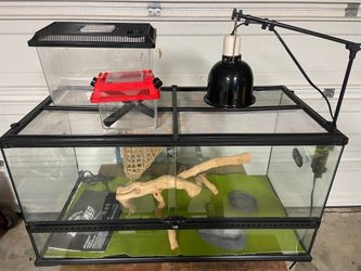 Reptile terrarium Exo Terra