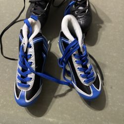 Ice Skates 