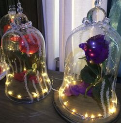Beauty & the beast roses made n ready to go