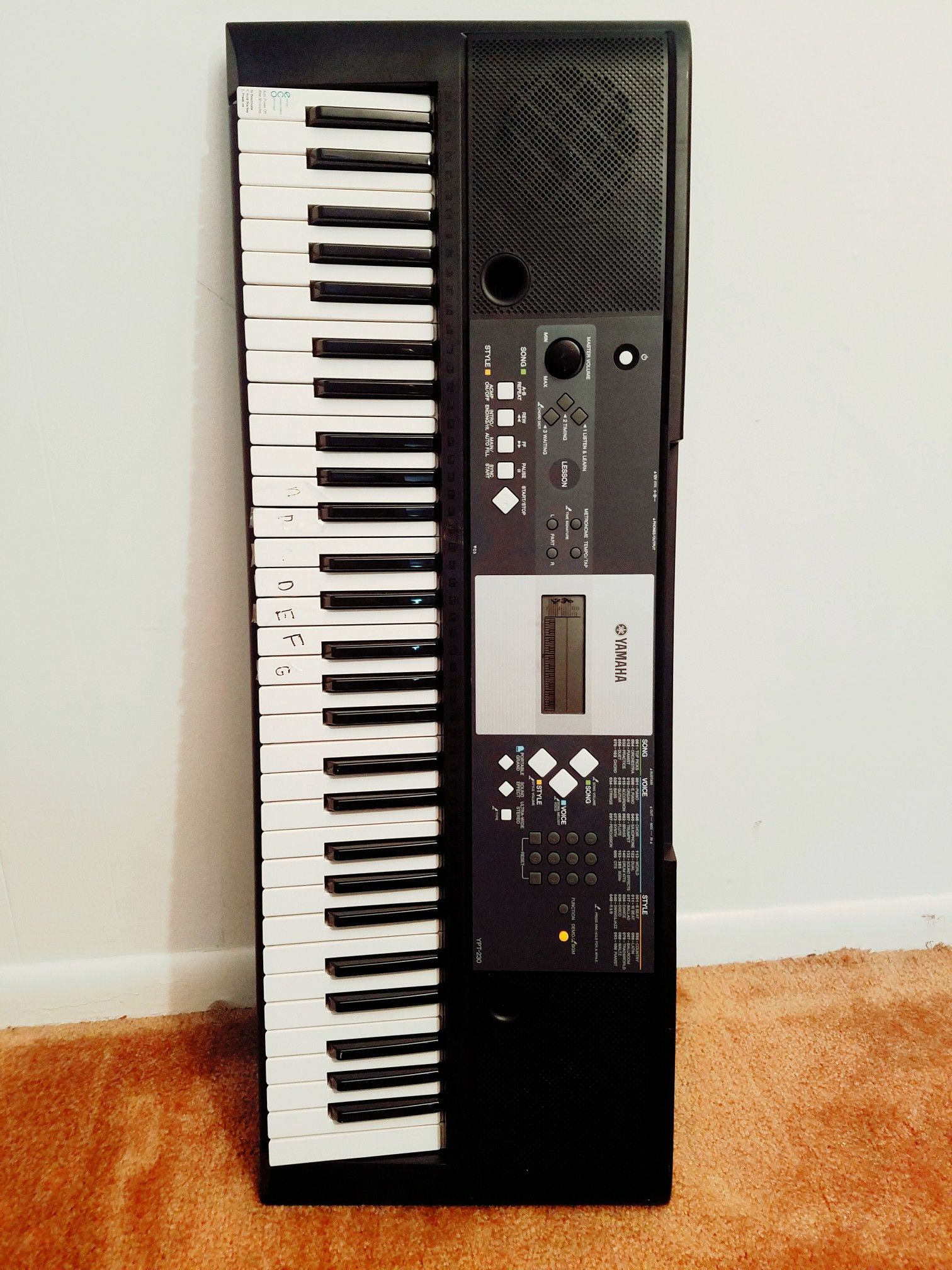 The Yamaha YPT230