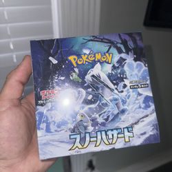 Pokemon Snow Hazard 