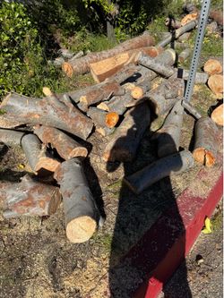 Free Firewood