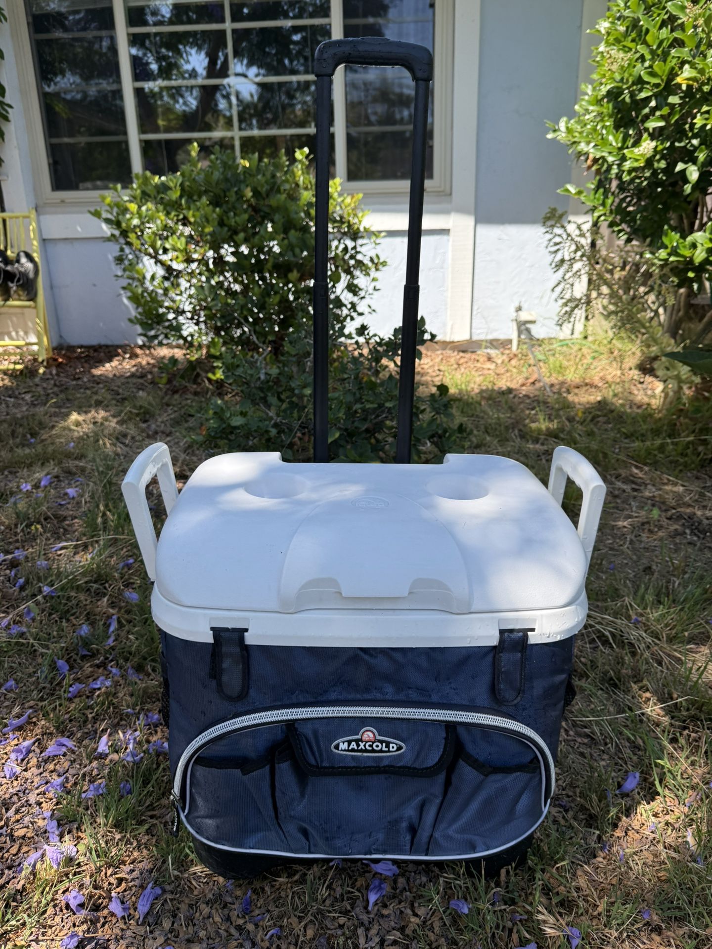 Igloo Maxcold Cooler, 40qt