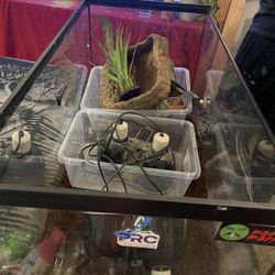 40gal Reptile Stuff