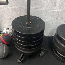Rogue 35lb Bumper plates