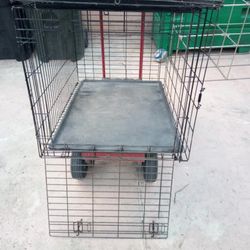 Dog Crates 