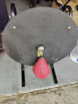 Everlast Boxing Speed Bag