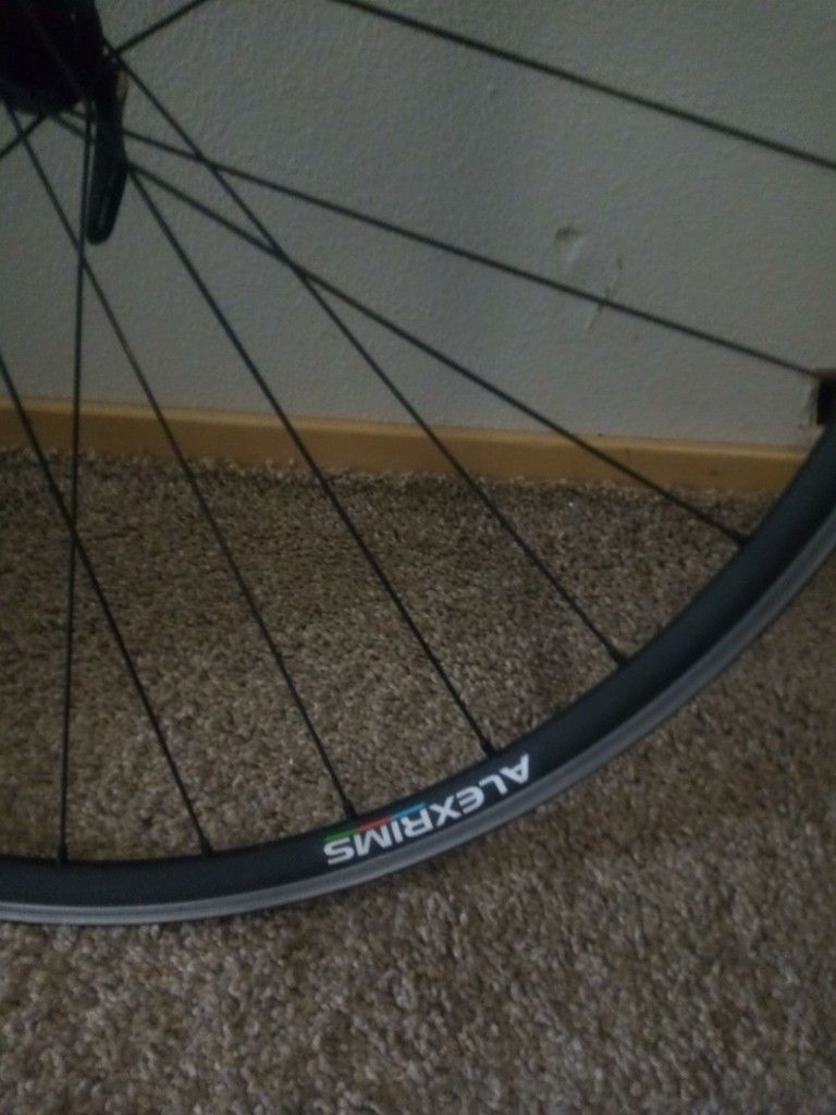 Alex Rims Da 22 Need To Sell Now For Application Fee Goin Cheap