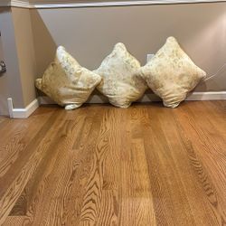 3 Decorative Throw Pillows