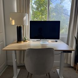 Designer Electric Standing Desk