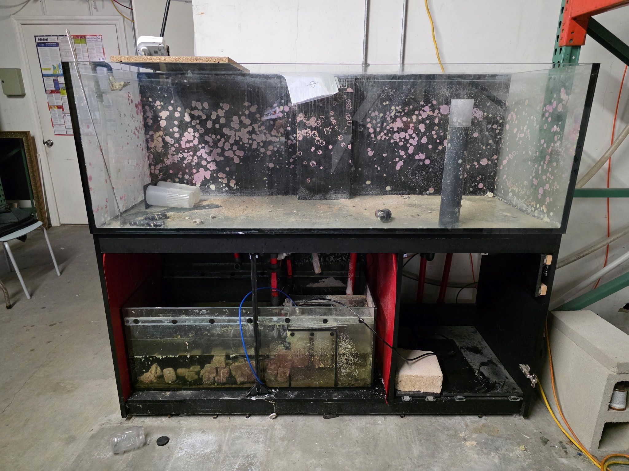 200 Gallon Aquarium